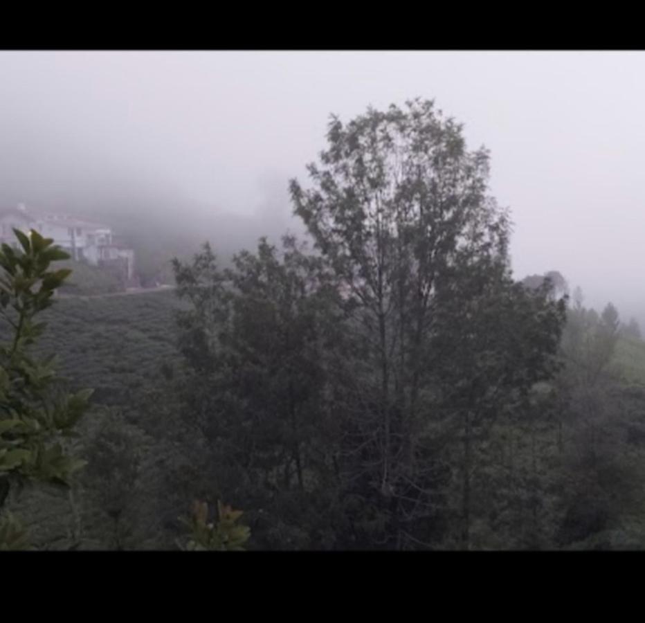 The Valley Villa โกตากิริ ภายนอก รูปภาพ